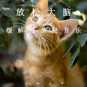 老师脱👙让学生摸🐻站起来做
